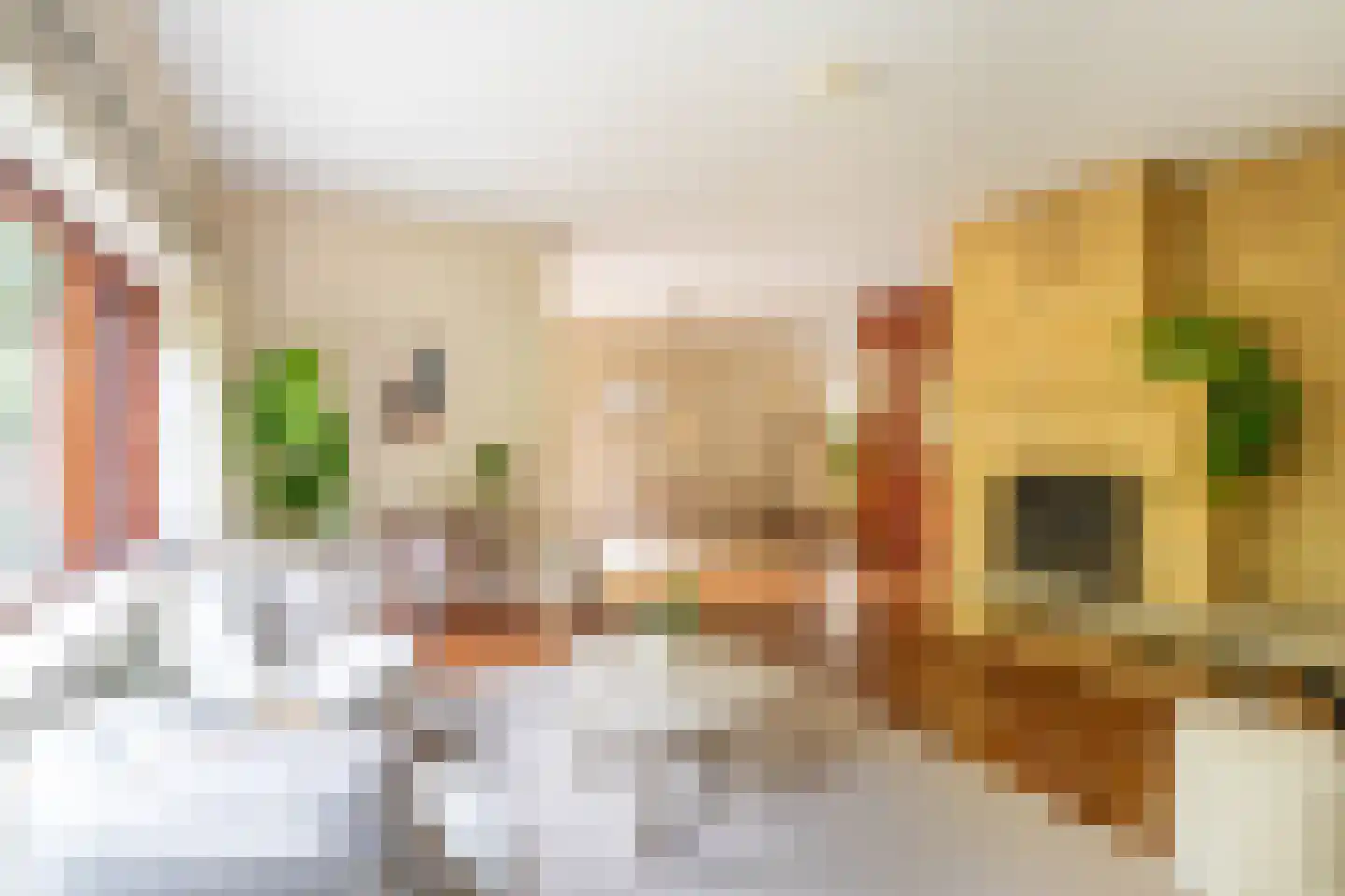 Kruisbes 3 Leiden thumbnail 7