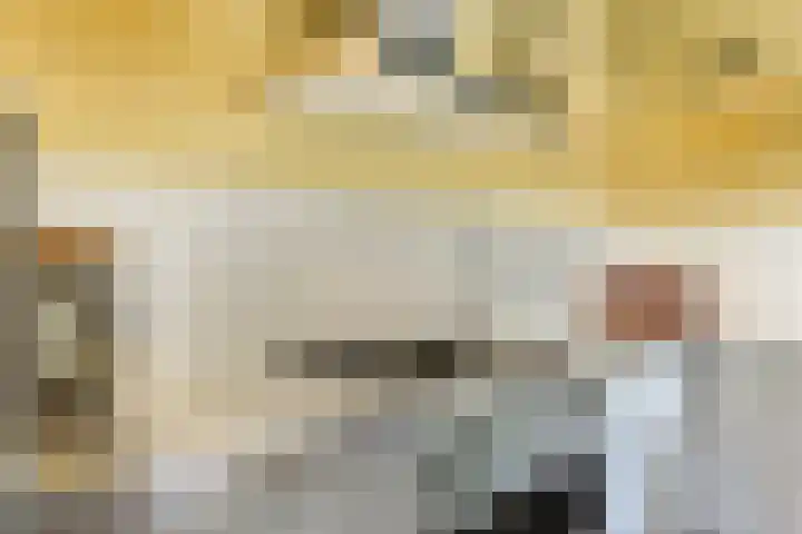 Kruisbes 31 Leiden thumbnail 11