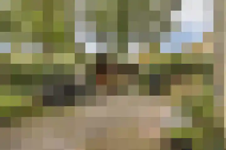 Kruisbes 31 Leiden thumbnail 14
