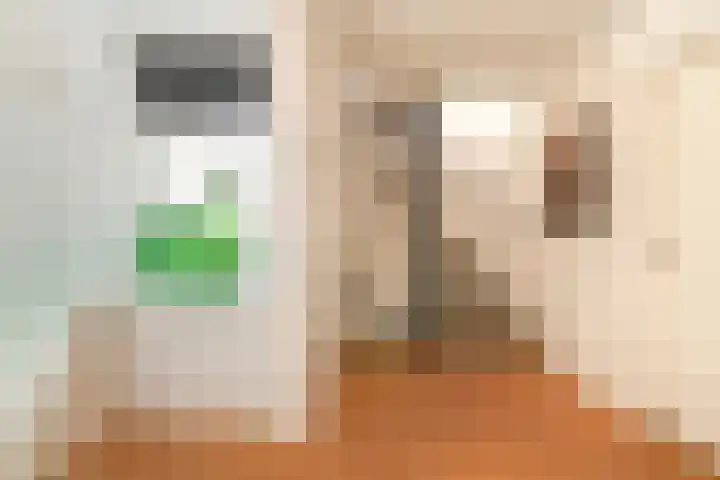 Kruisbes 31 Leiden thumbnail 16