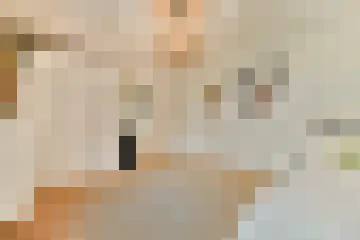 Kruisbes 31 Leiden thumbnail 23