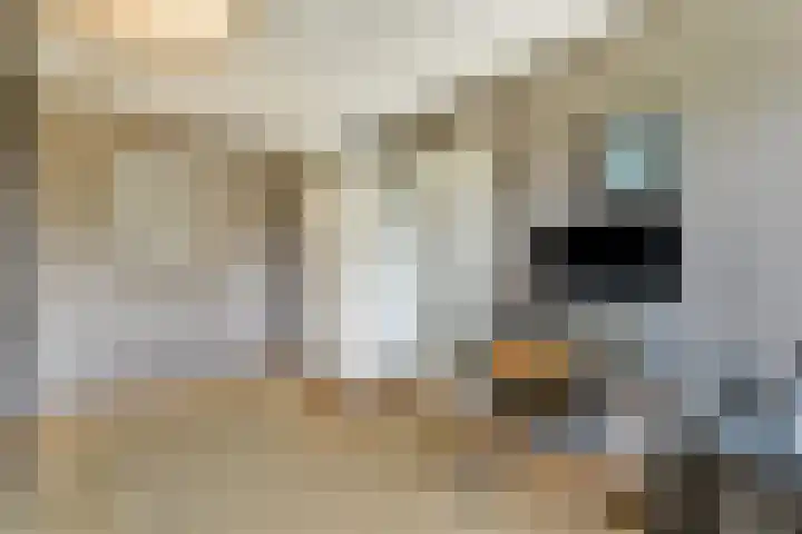 Kruisbes 31 Leiden thumbnail 25