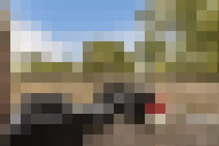 Kruisbes 31 Leiden thumbnail 30