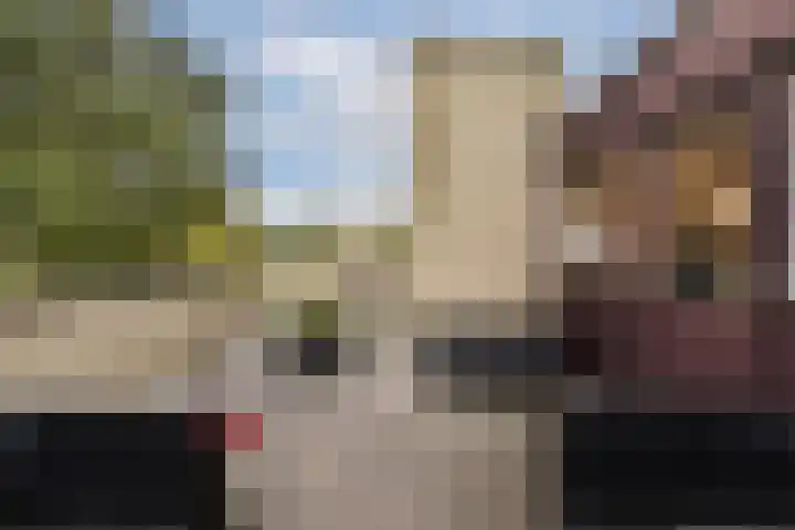 Kruisbes 31 Leiden thumbnail 31