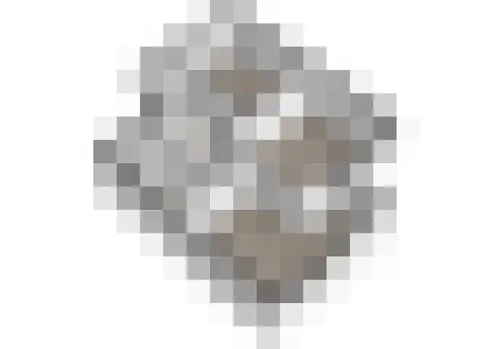 Kruisbes 31 Leiden thumbnail 36