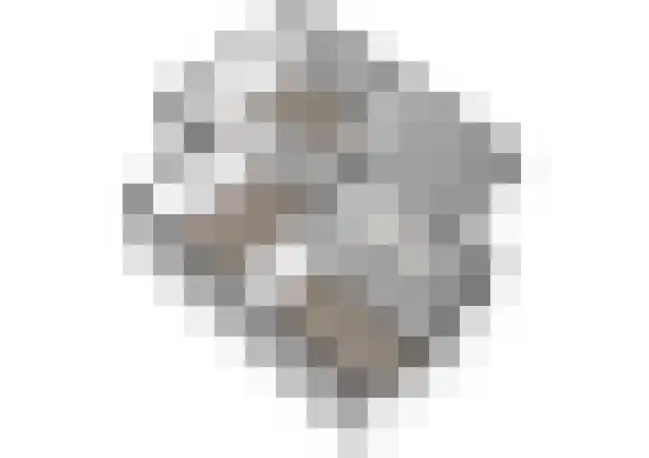 Kruisbes 31 Leiden thumbnail 37