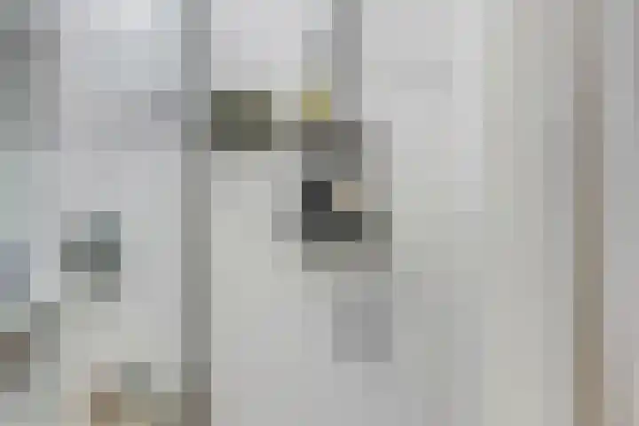 Kruisbeshof 14 Ede thumbnail 19