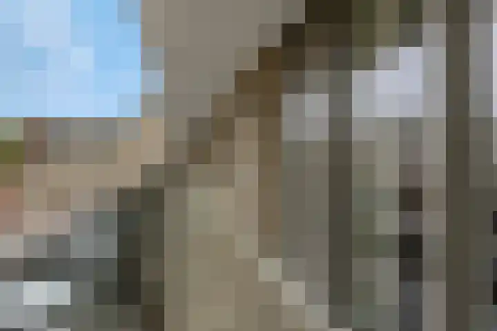 Kruisbeshof 14 Ede thumbnail 26