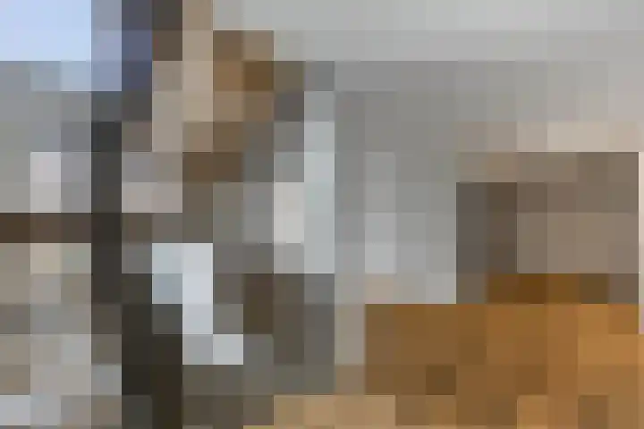 Kruisbeshof 14 Ede thumbnail 29