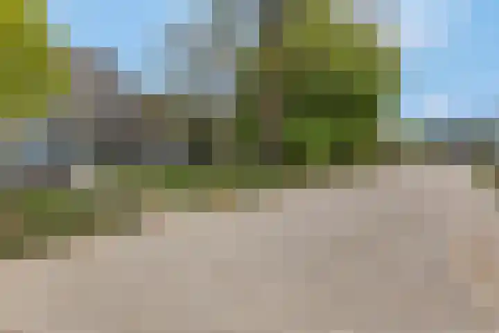 Kruisbeshof 14 Ede thumbnail 34