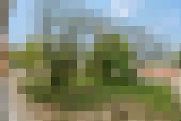 Kruisbeshof 14 Ede thumbnail 38