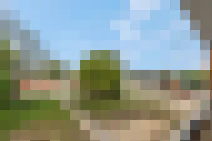 Kruisbeshof 14 Ede thumbnail 39