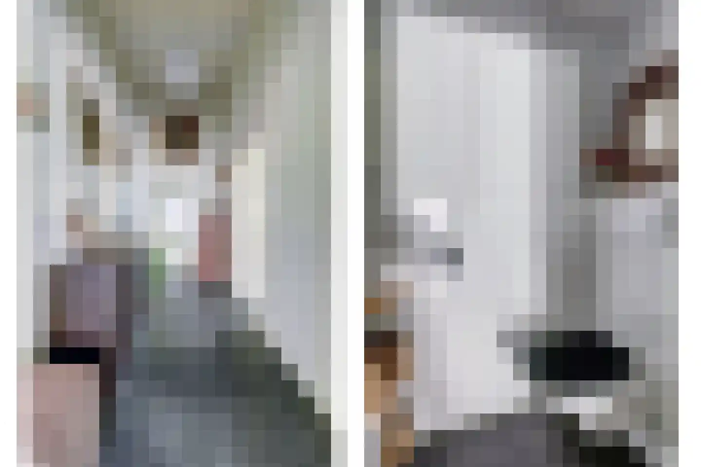 Kruisbeslaan 4 Kortgene thumbnail 11