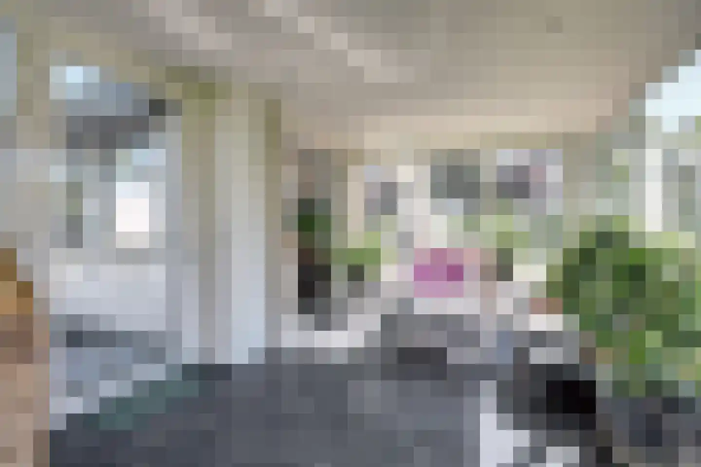 Kruisbeslaan 4 Kortgene thumbnail 24