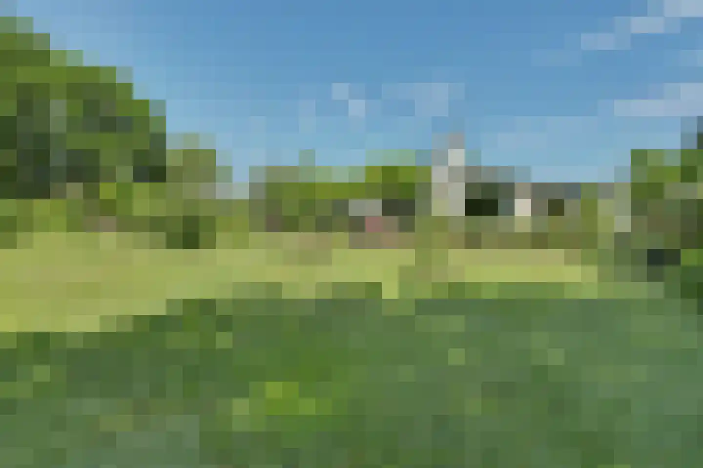 Kruisbeslaan 4 Kortgene foto 3