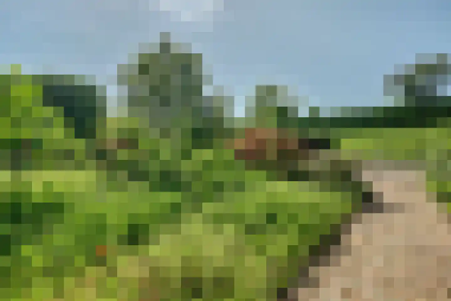Kruisbeslaan 4 Kortgene thumbnail 38