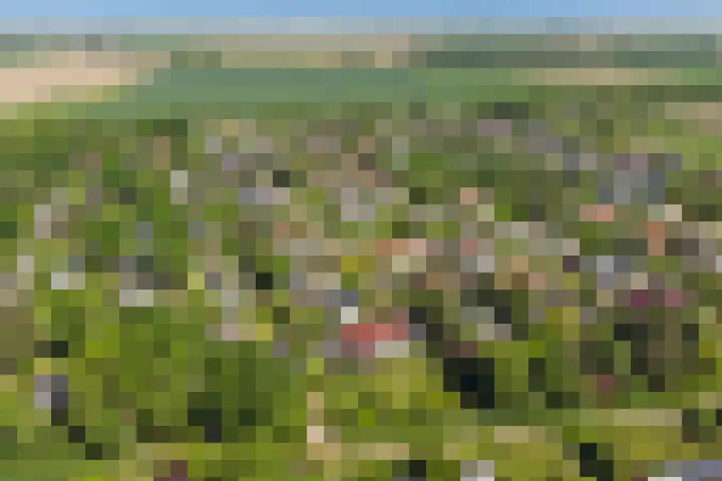 Kruisbeslaan 4 Kortgene thumbnail 43