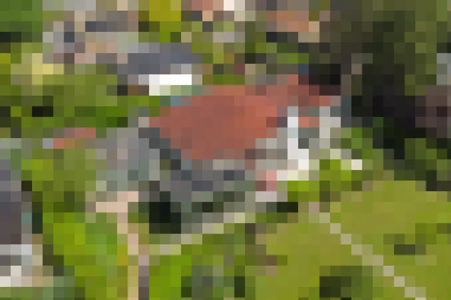 Kruisbeslaan 4 Kortgene thumbnail 44