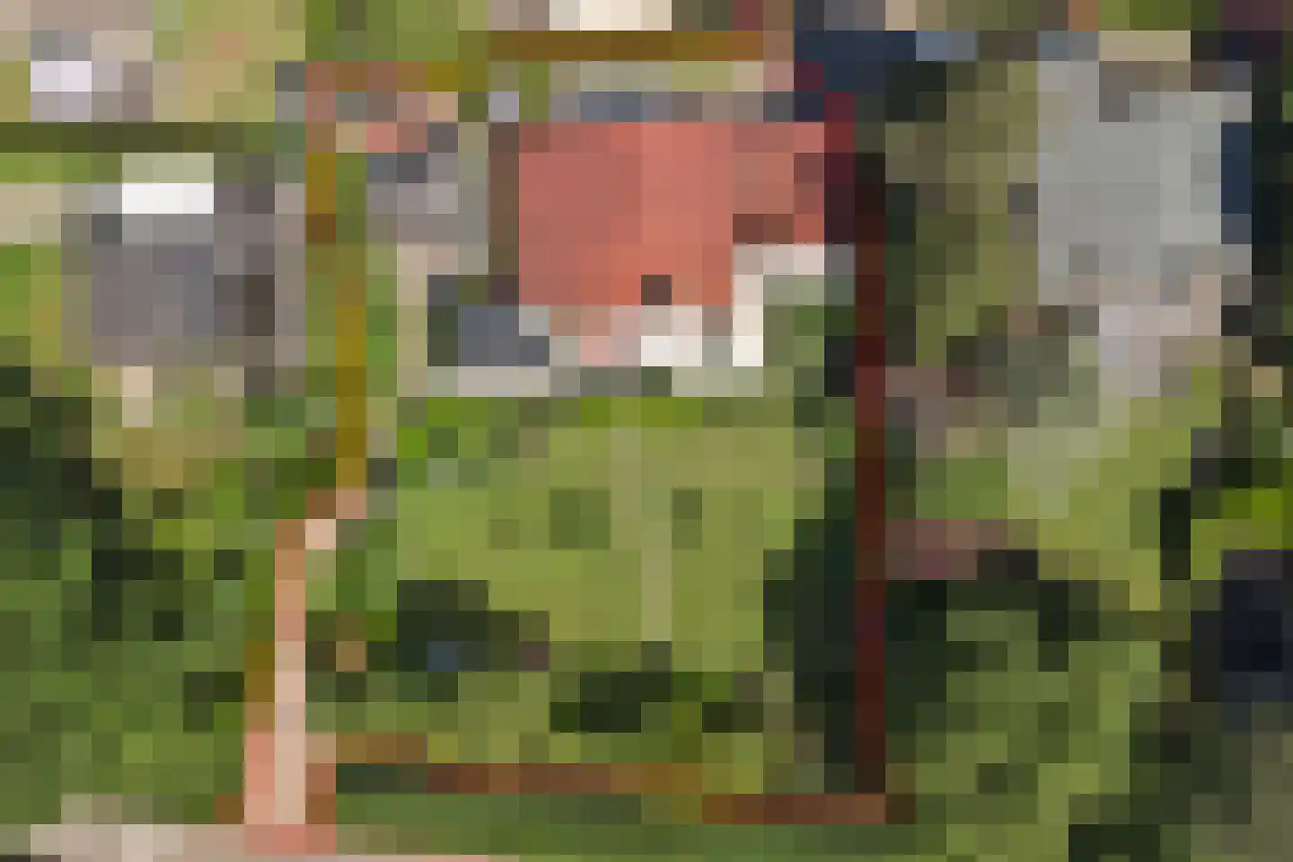 Kruisbeslaan 4 Kortgene thumbnail 45