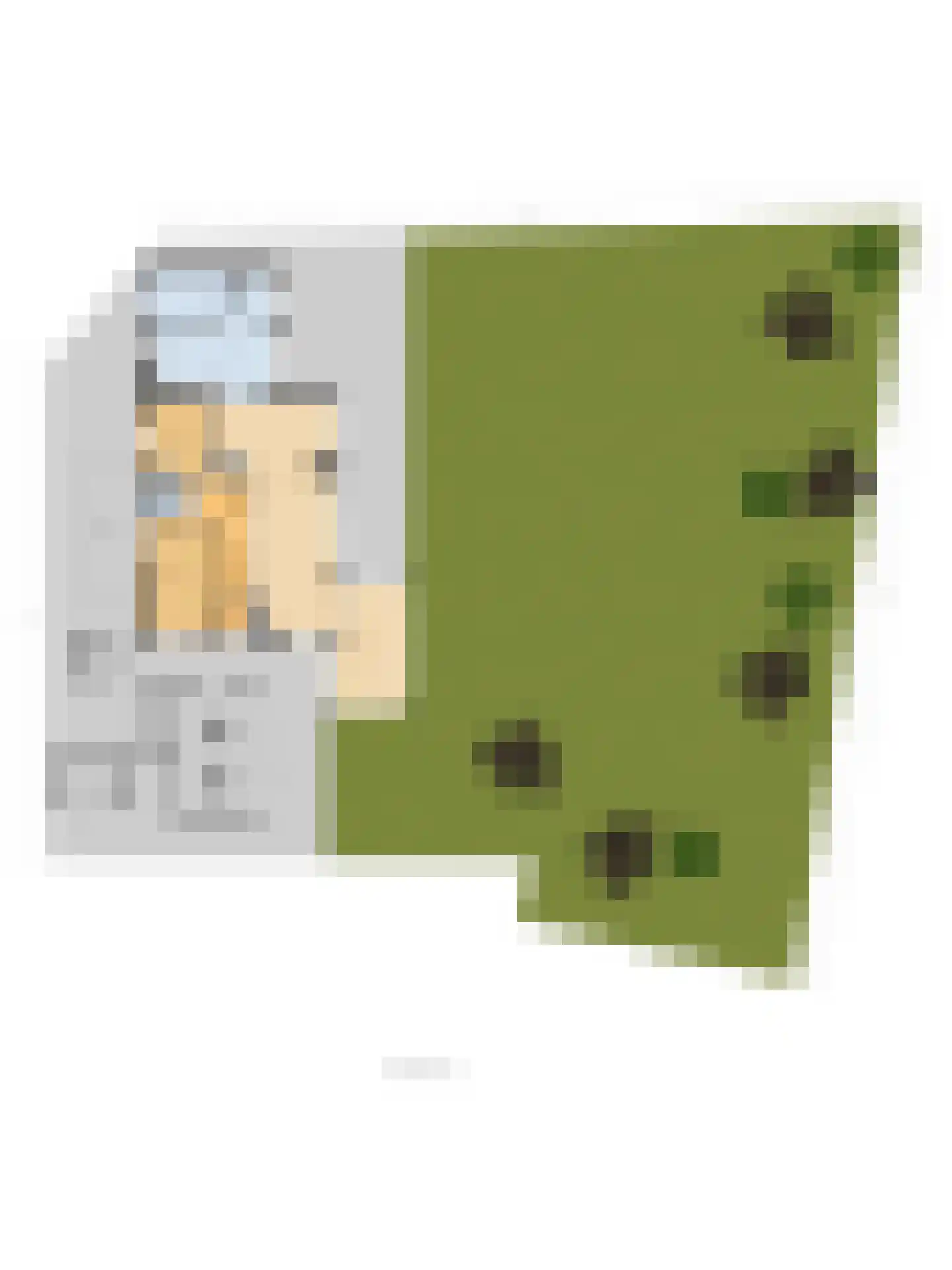 Kruisbeslaan 4 Kortgene thumbnail 47