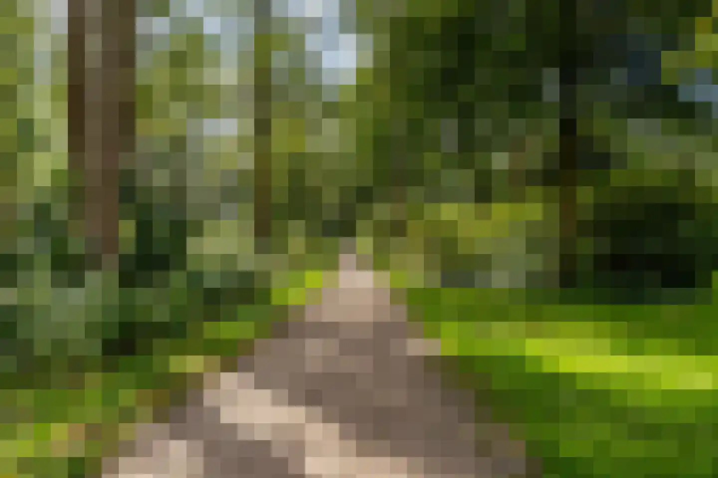 Kruisbessendreef 6 Rozenburg thumbnail 41