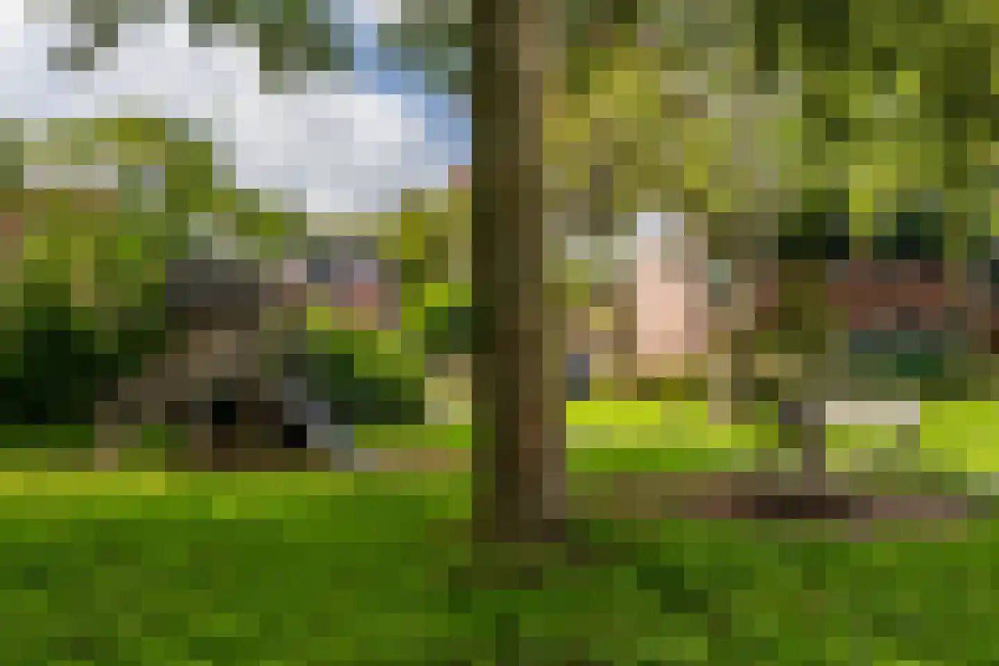 Kruisbessendreef 6 Rozenburg thumbnail 42