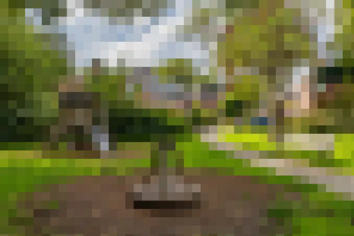 Kruisbessendreef 6 Rozenburg thumbnail 43