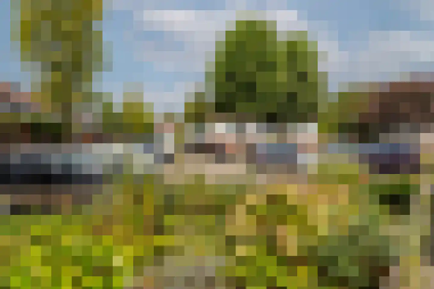 Kruisbessendreef 6 Rozenburg thumbnail 44