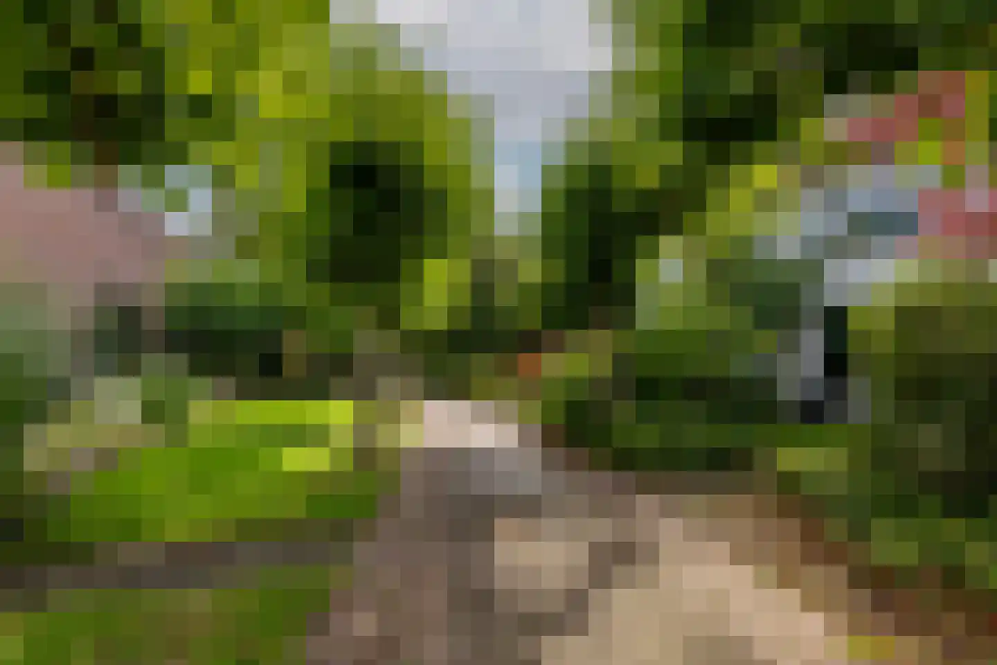 Kruisbessendreef 6 Rozenburg thumbnail 45