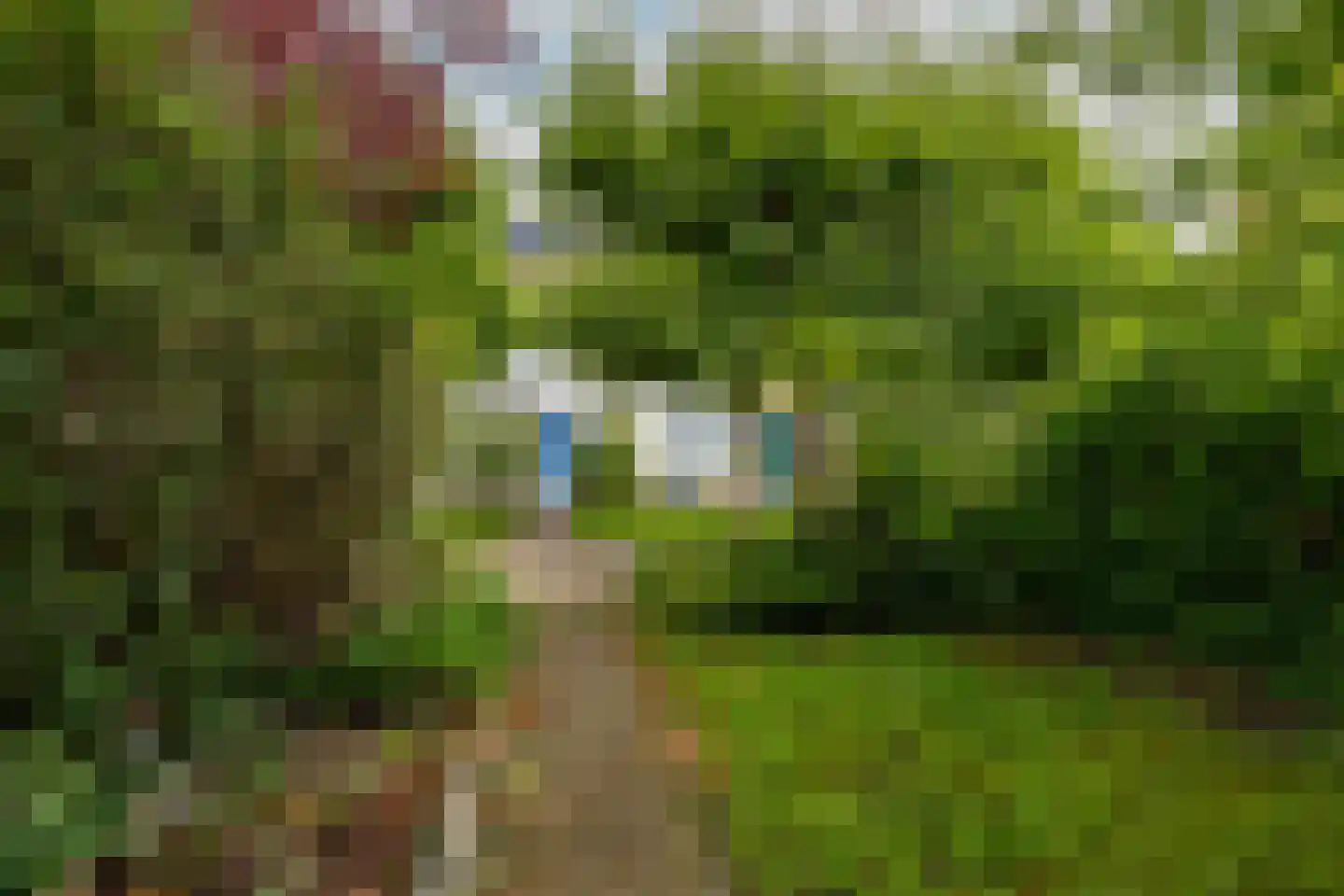 Kruisbessendreef 6 Rozenburg thumbnail 49