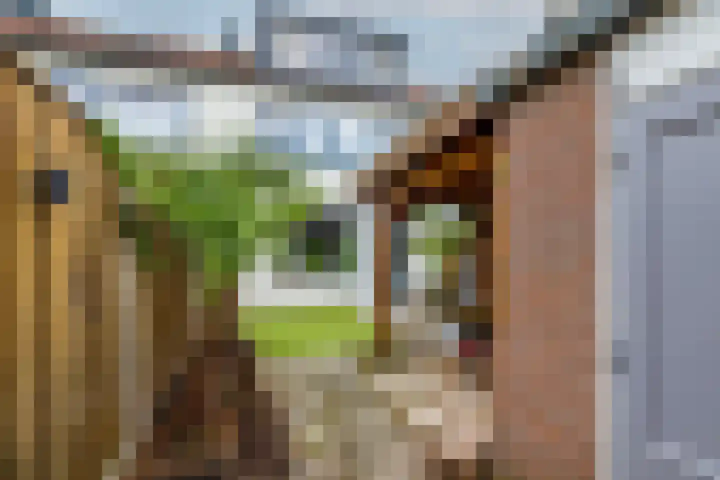 Kruisbessendreef 6 Rozenburg thumbnail 50