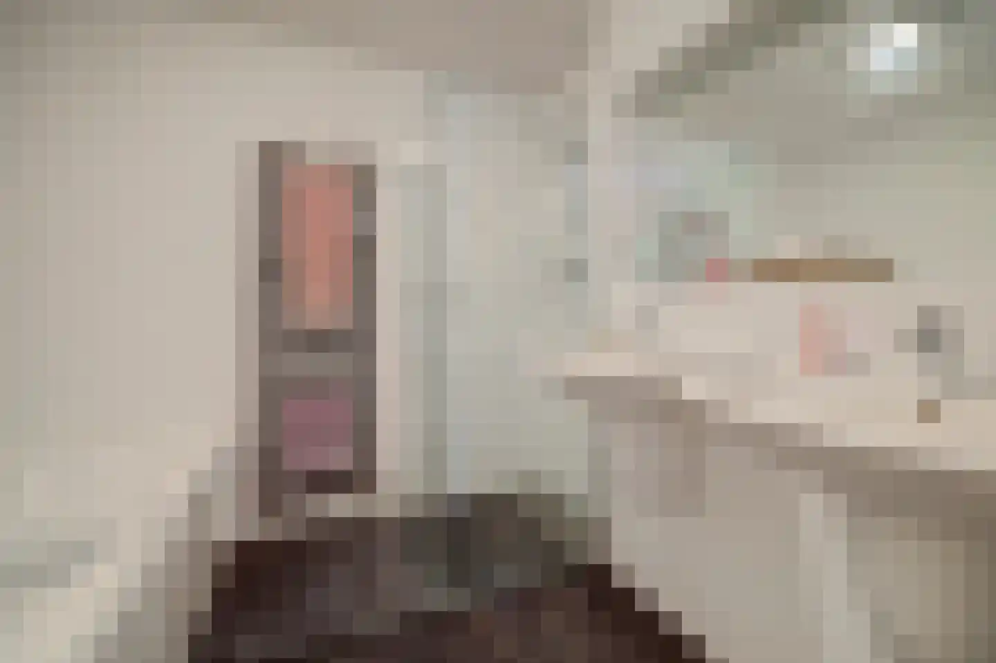 Kruisbessengaard 23 Wijk bij Duurstede thumbnail 27