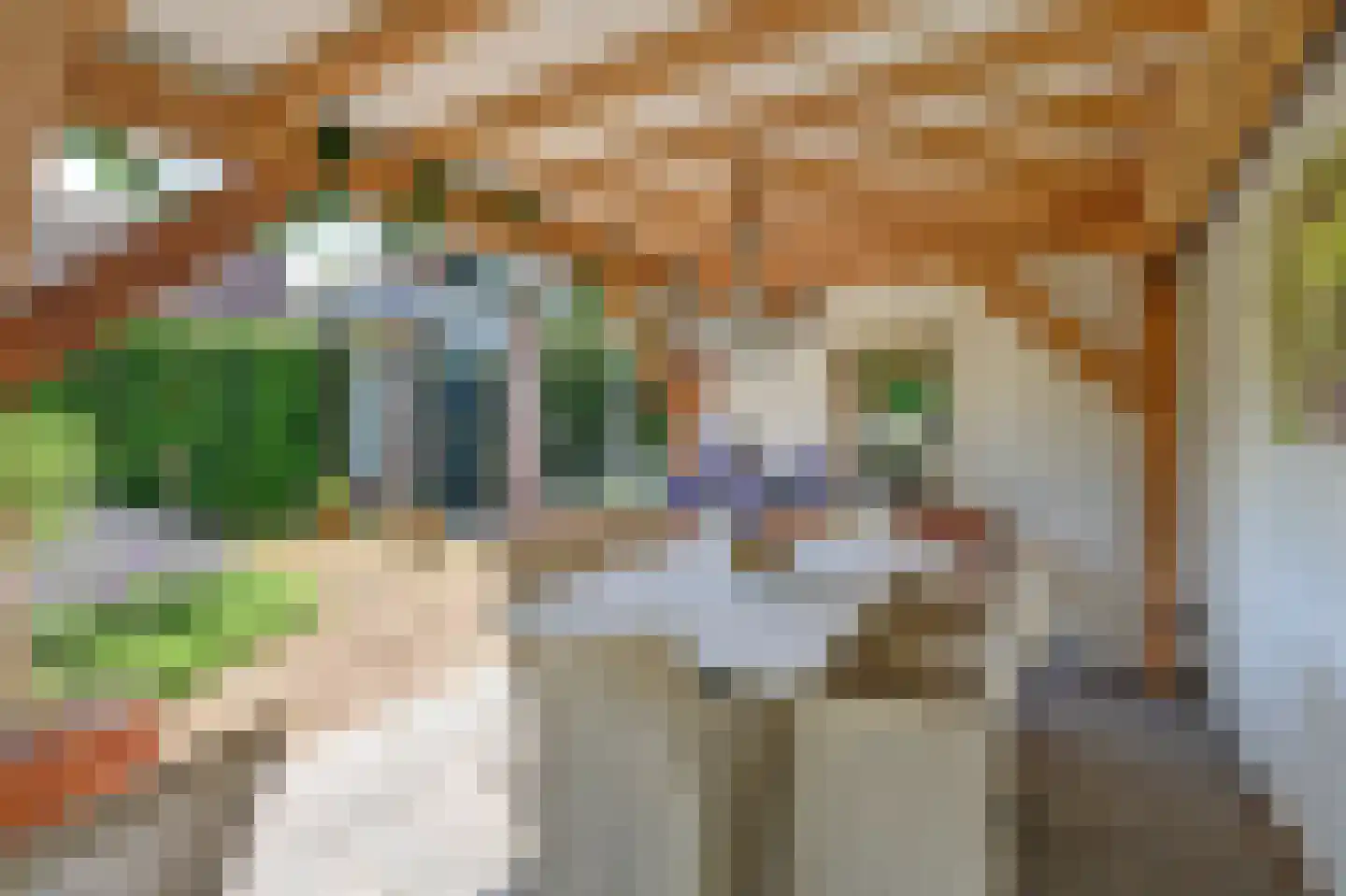 Kruisbessengaard 23 Wijk bij Duurstede thumbnail 43