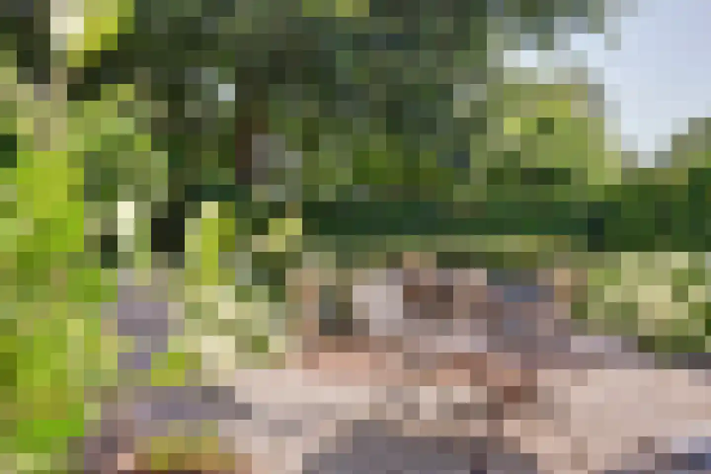 Kruisbessengaard 23 Wijk bij Duurstede thumbnail 46