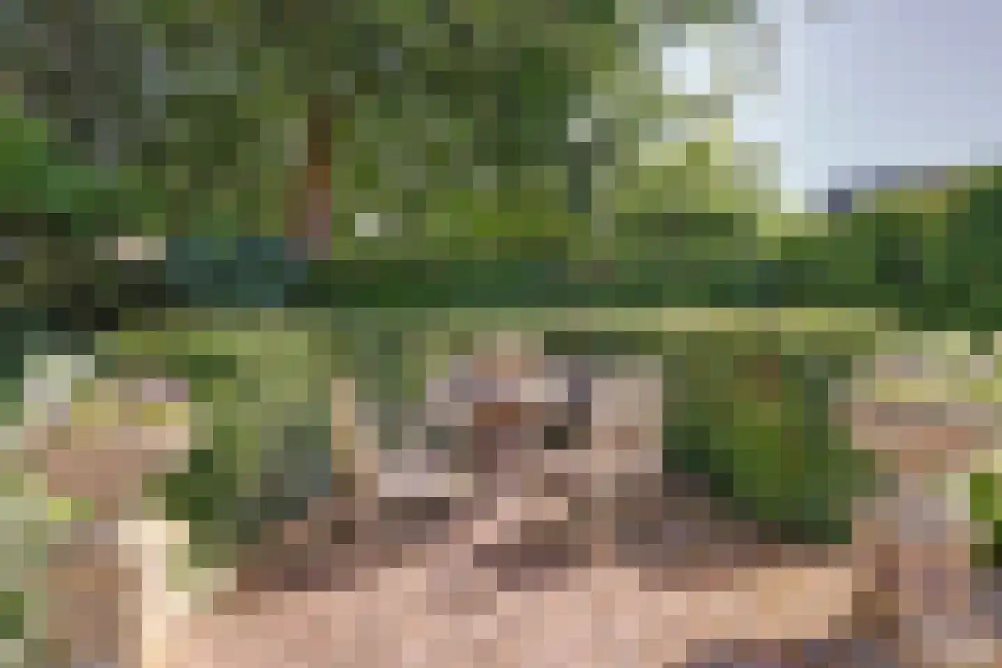 Kruisbessengaard 23 Wijk bij Duurstede thumbnail 47