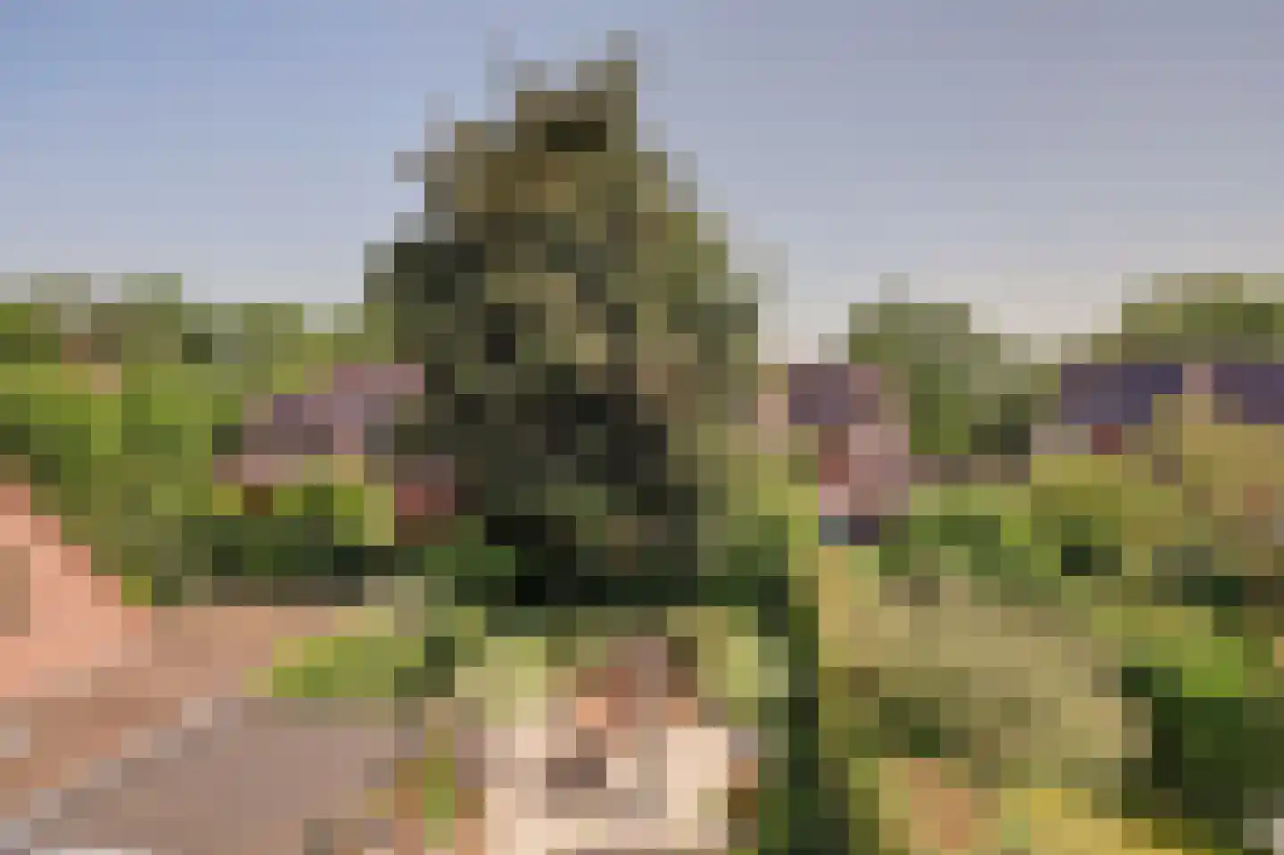 Kruisbessengaard 23 Wijk bij Duurstede thumbnail 48