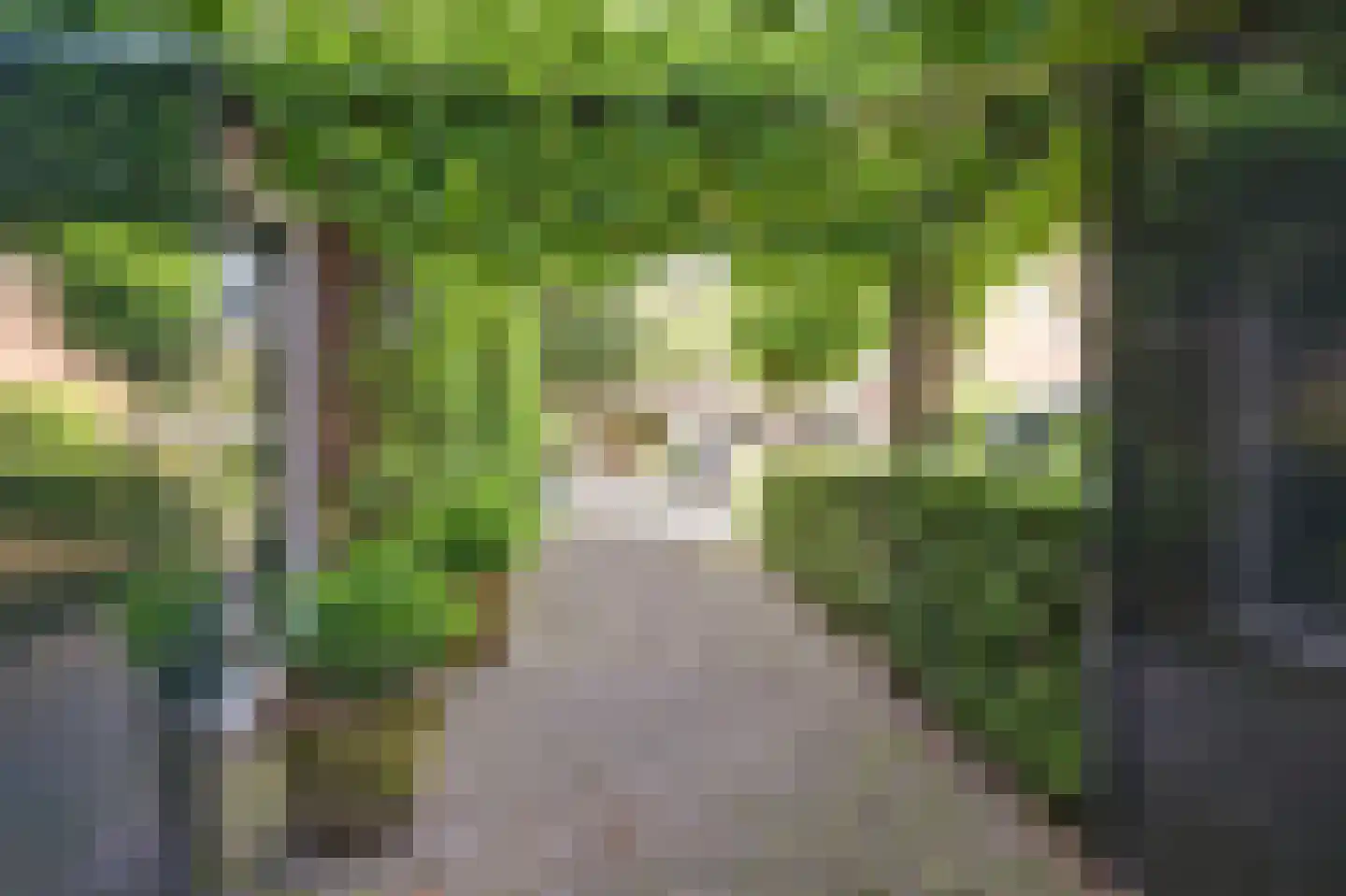 Kruisbessengaard 23 Wijk bij Duurstede thumbnail 52