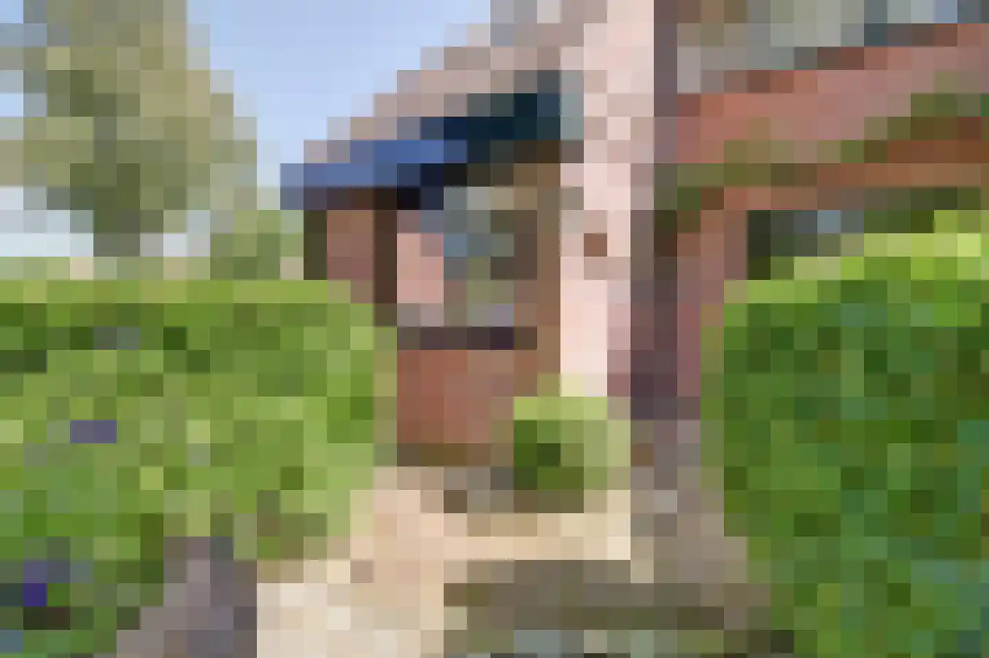 Kruisbessengaard 23 Wijk bij Duurstede thumbnail 55