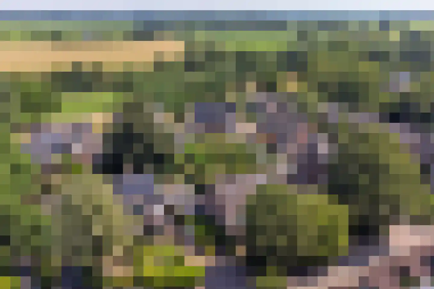 Kruisbessengaard 23 Wijk bij Duurstede thumbnail 59