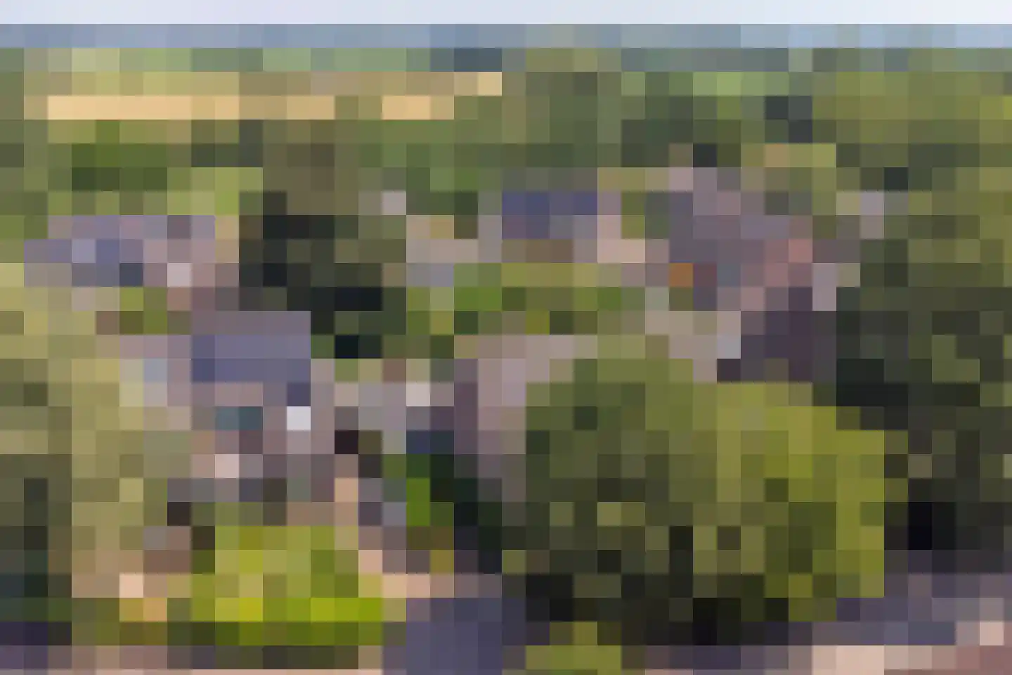 Kruisbessengaard 23 Wijk bij Duurstede thumbnail 6