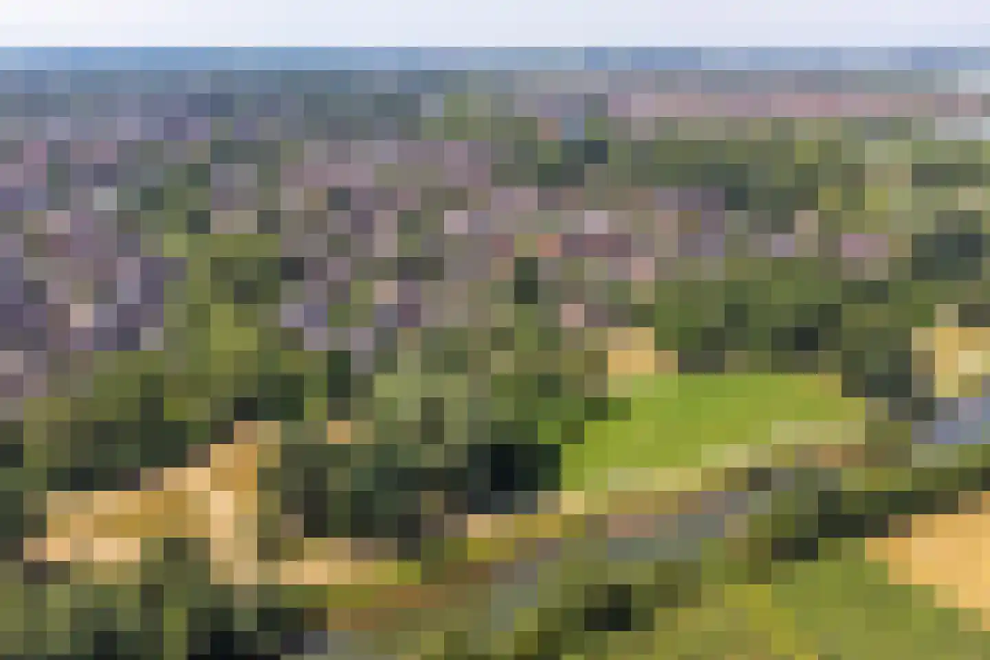 Kruisbessengaard 23 Wijk bij Duurstede thumbnail 62