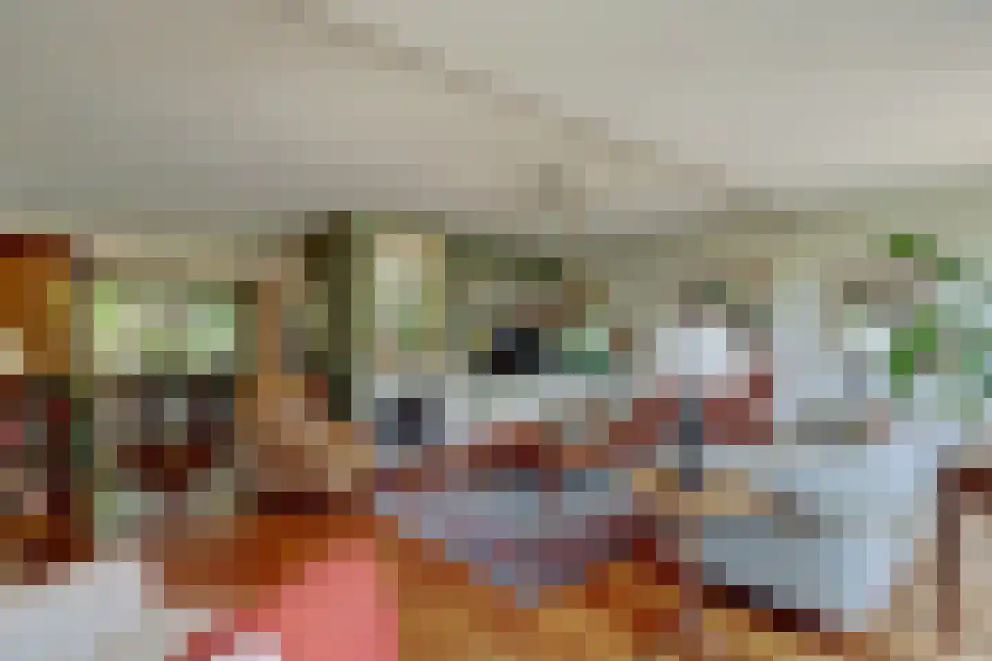 Kruisbessengaard 23 Wijk bij Duurstede thumbnail 7