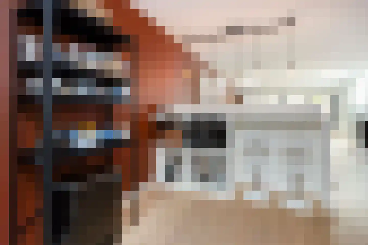 Kruisbessengaard 38 Wijk bij Duurstede thumbnail 14