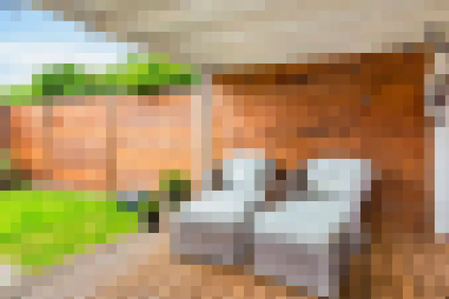 Kruisbessengaard 38 Wijk bij Duurstede thumbnail 21