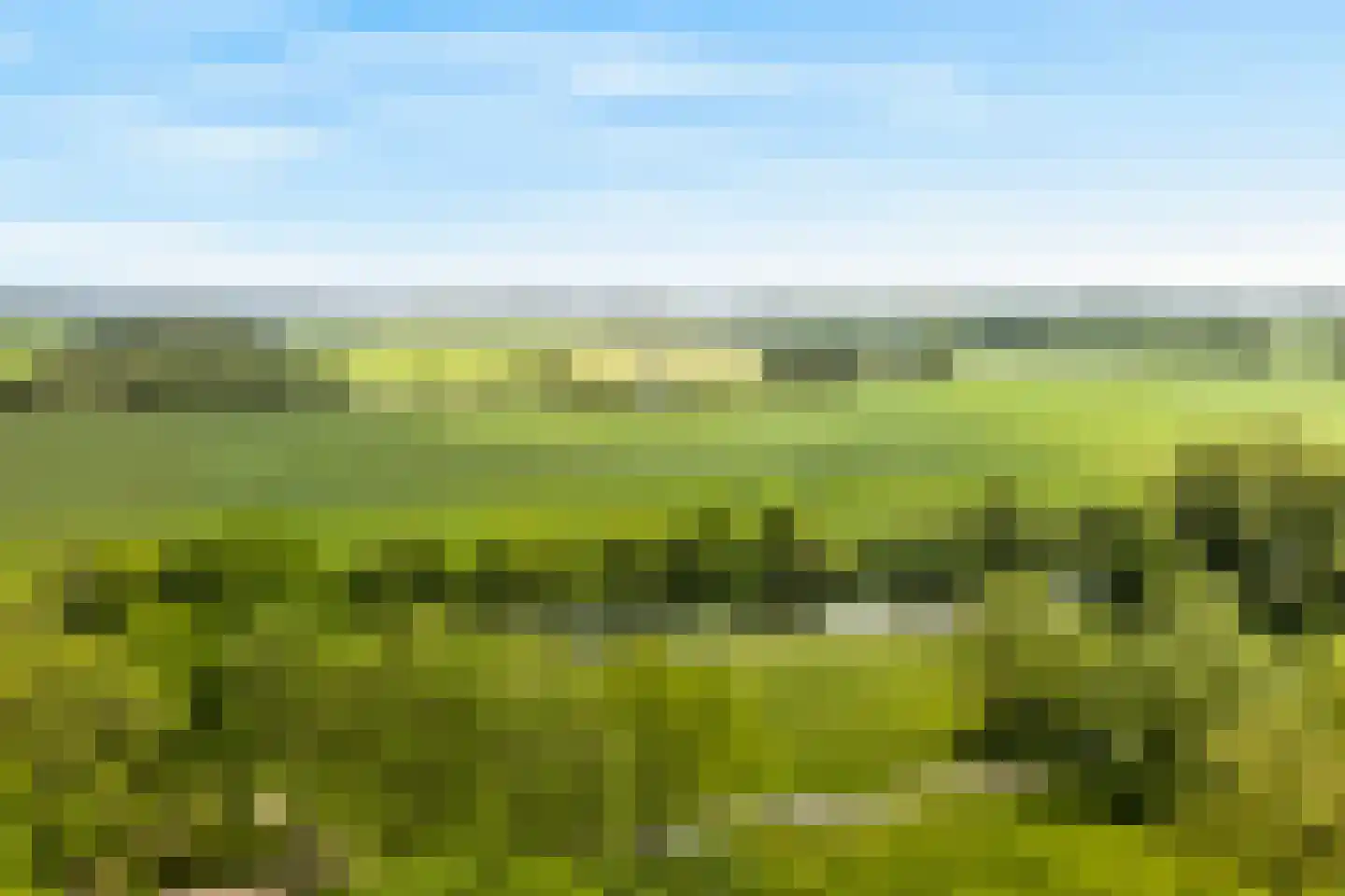 Kruisbessengaard 38 Wijk bij Duurstede thumbnail 45