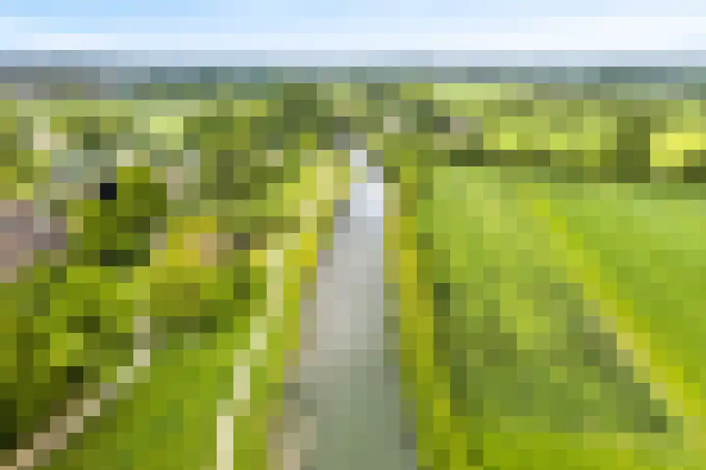 Kruisbessengaard 38 Wijk bij Duurstede thumbnail 47