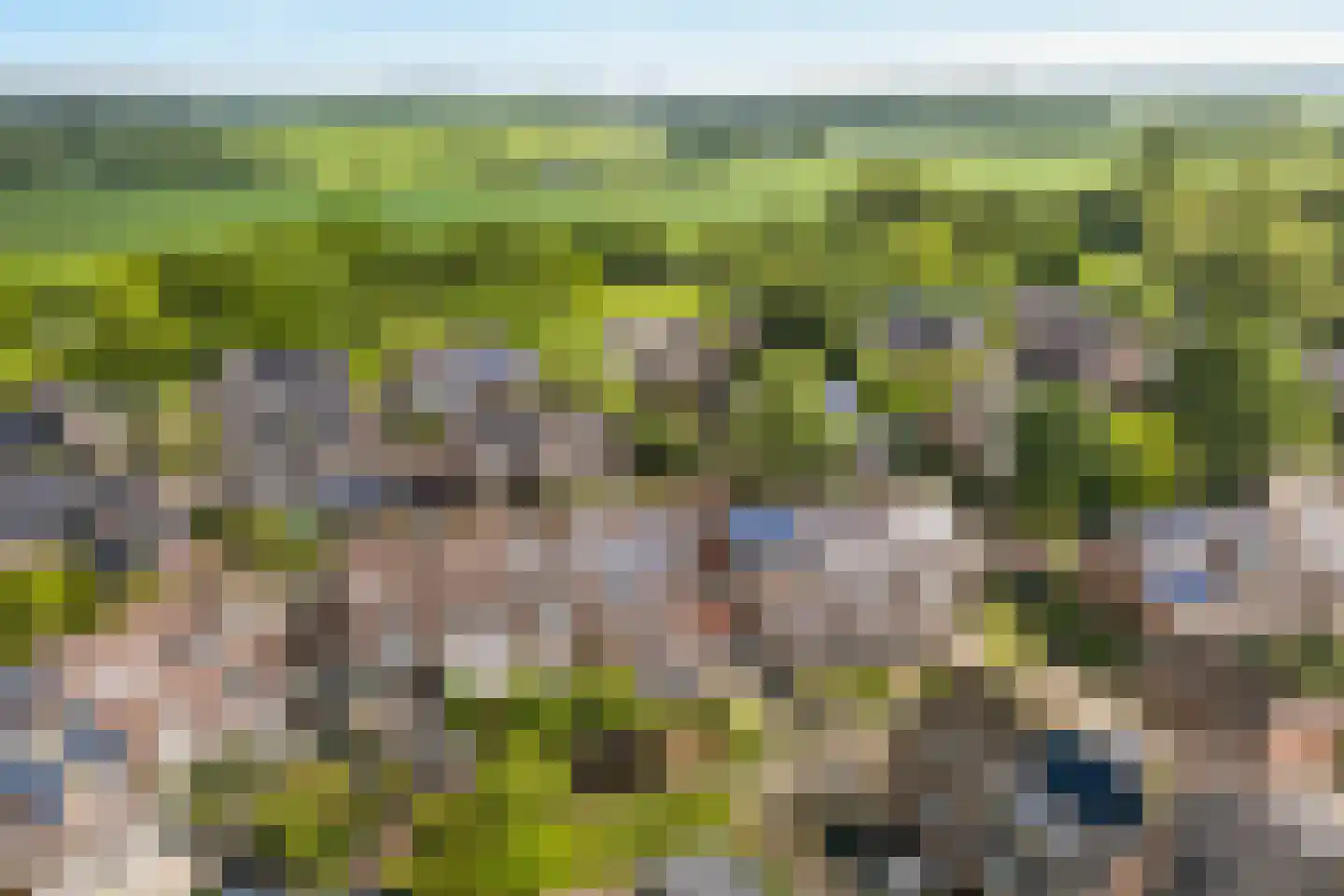 Kruisbessengaard 38 Wijk bij Duurstede thumbnail 49