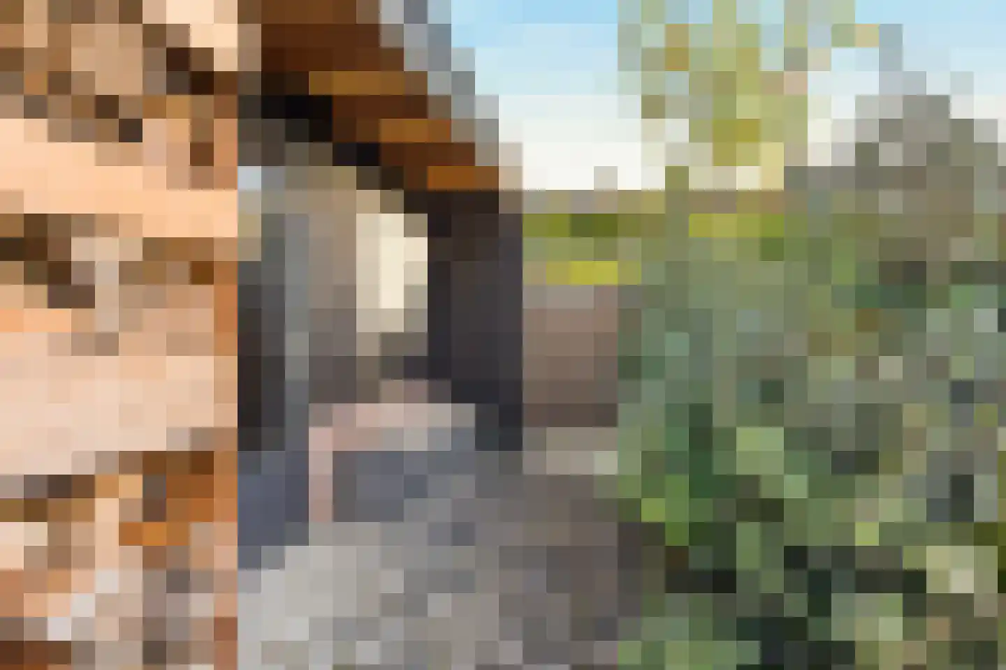 Kruisbessengaard 96 Wijk bij Duurstede thumbnail 27