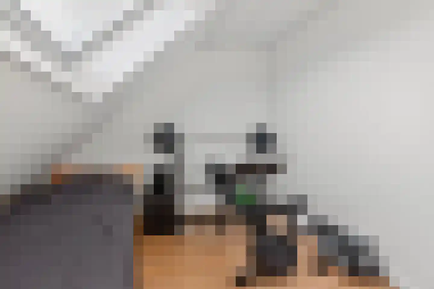 Kruisbessengaard 96 Wijk bij Duurstede thumbnail 47