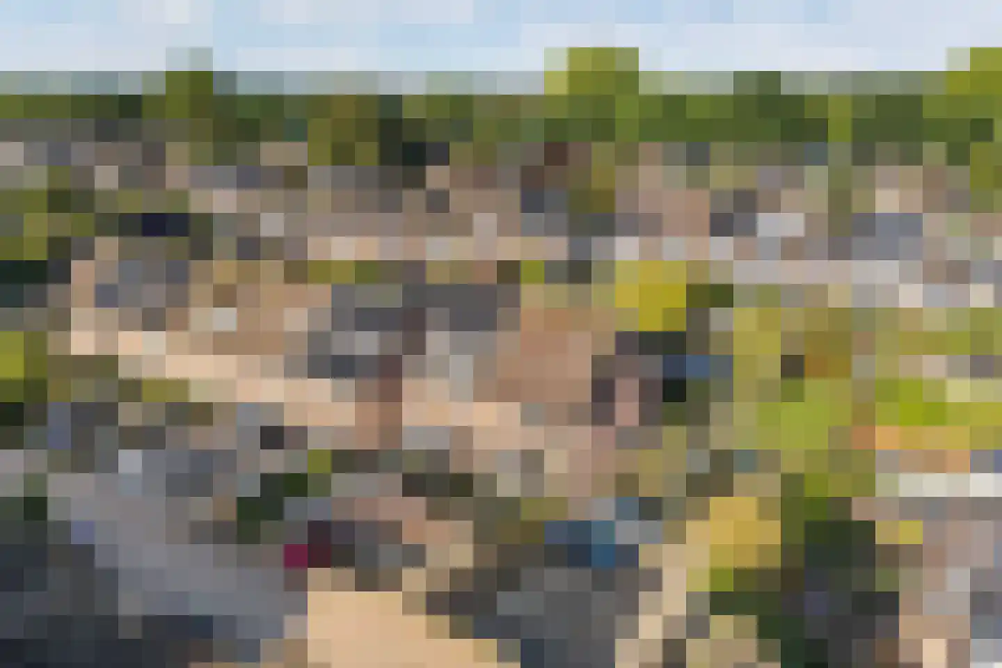 Kruisbessengaard 96 Wijk bij Duurstede thumbnail 5